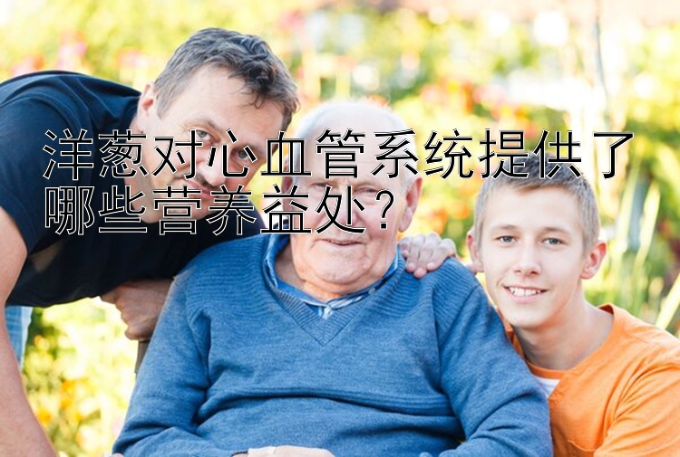 洋葱对心血管系统提供了哪些营养益处？