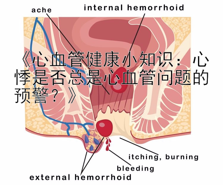 《心血管健康小知识：心悸是否总是心血管问题的预警？》