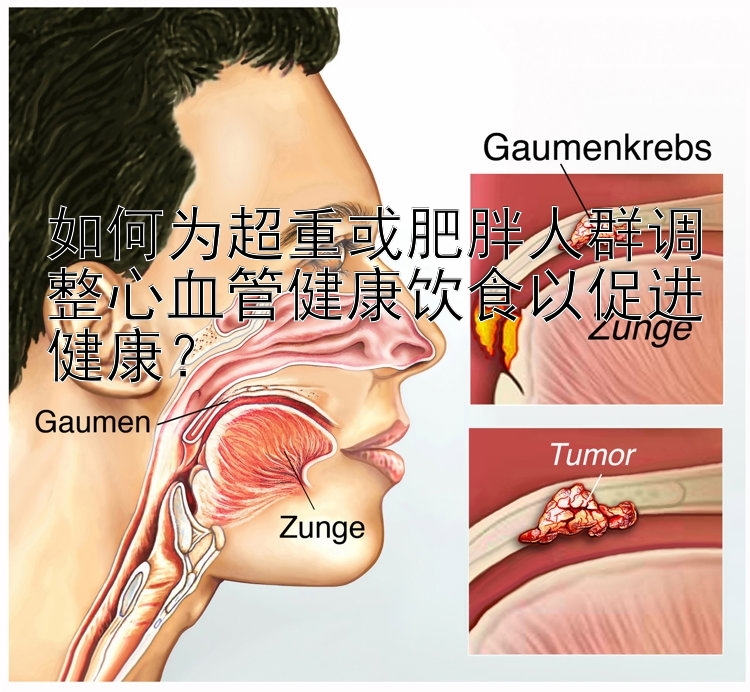 如何为超重或肥胖人群调整心血管健康饮食以促进健康？